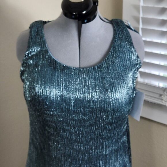 R&M Richards 2 Piece Set Jacket and Dress Metallic Blue Size 4P NWT - Picture 5 of 16